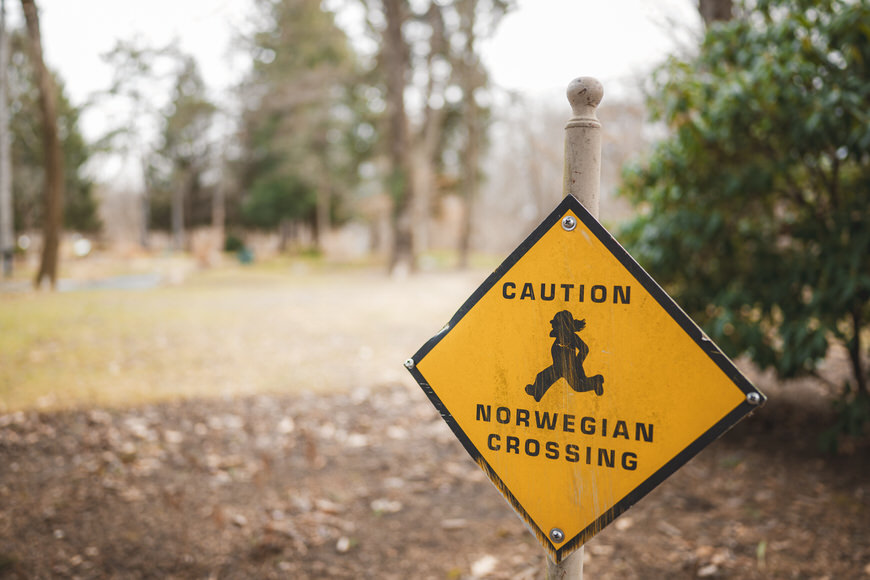 A yellow diamond-shaped sign reads "Caution Norwegian Crossing" with a silhouette of a mythical creature. Trees and grass are in the background.