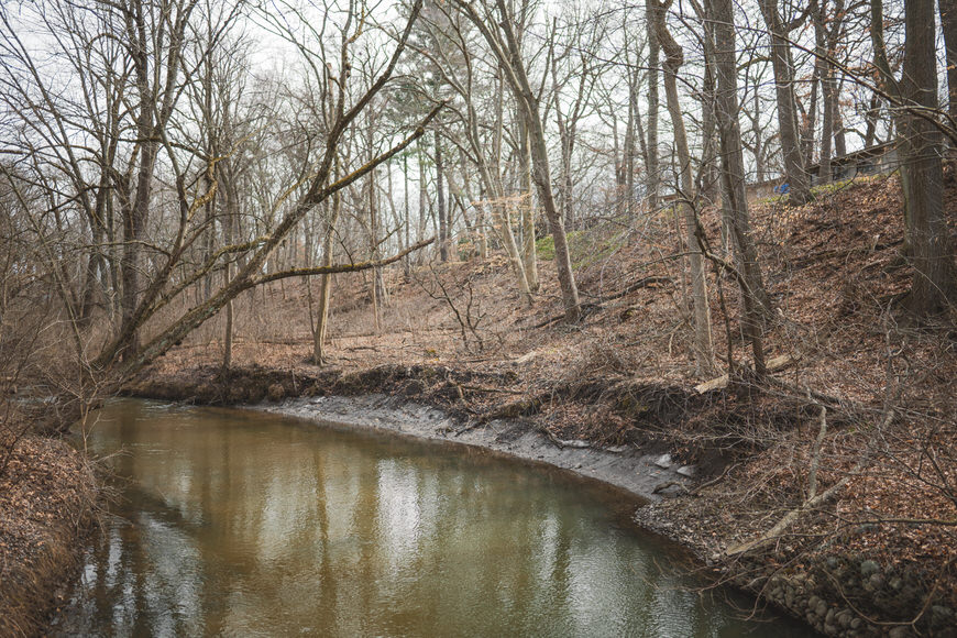 A serene creek flows through a forest with bare trees and fallen leaves on a cloudy day.