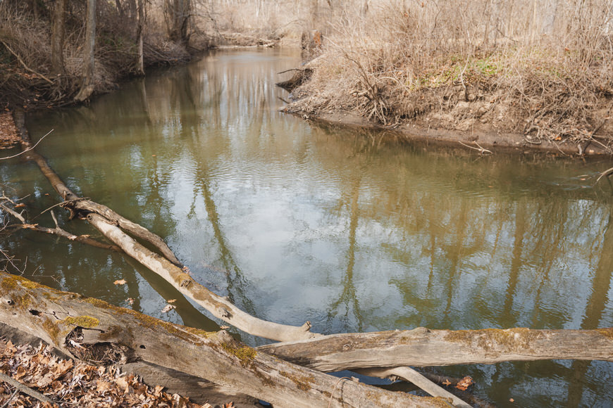 A calm, shallow river flows through a forest with bare trees. Fallen logs partially submerged in the water. Sparse vegetation and brown leaves cover the ground.