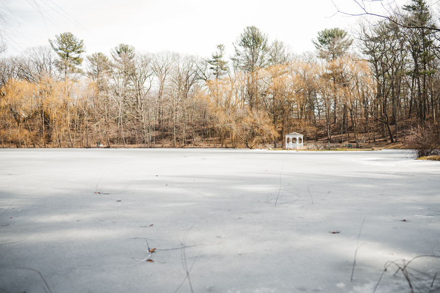 A frozen pond with scattered branches. In the background, leafless trees surround a small gazebo.