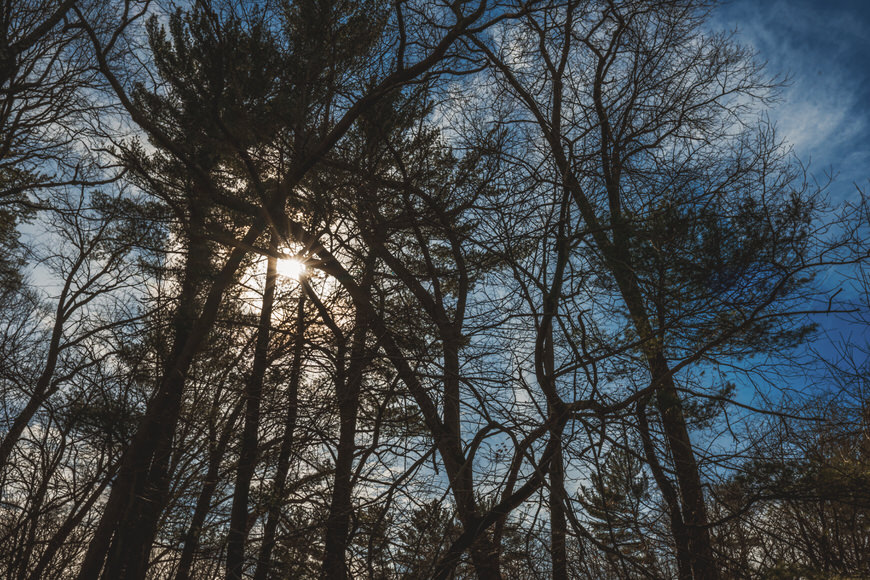 Sunlight peeks through tall, leafless trees against a blue sky with scattered clouds.