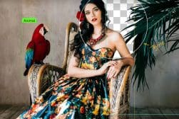 A woman in a floral dress sits on a wicker chair next to a red and blue parrot, with a leafy plant behind her.