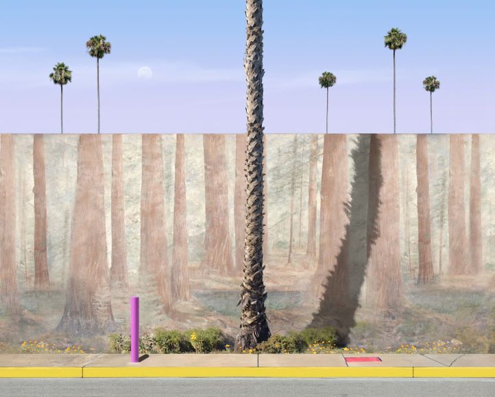 A tree stands in front of a mural depicting a forest. Palm trees and a pink pole are visible.