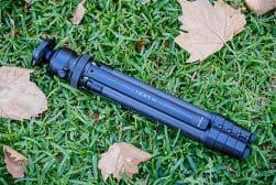 A black tripod lying folded on green grass with scattered dry leaves.
