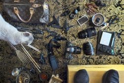 A cat laying on a floor with a camera and other items.