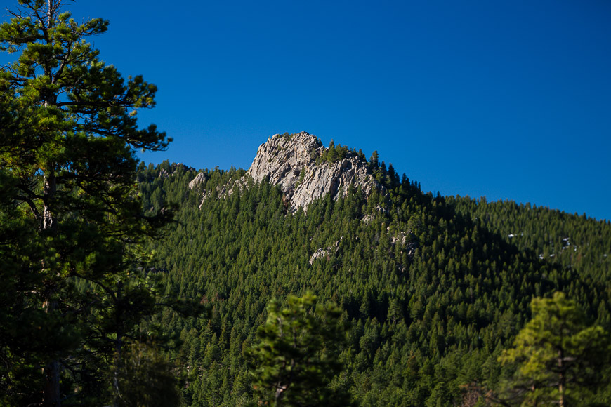 Pine-covered mountain with a rocky peak under a clear blue sky.