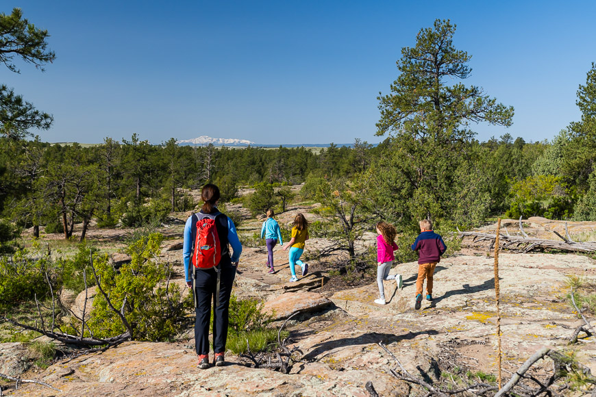 A group of five people hiking on a rocky trail through a forested area under a clear blue sky.