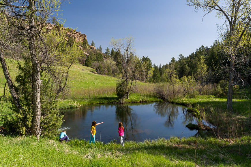 Three children playing near a small pond surrounded by grass and trees on a sunny day, with a rocky hill in the background.