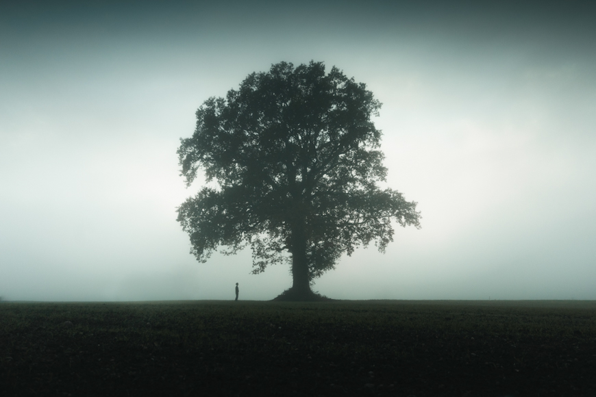 A solitary person stands near a large tree in a foggy landscape, emphasizing the vastness and tranquility of the scene.