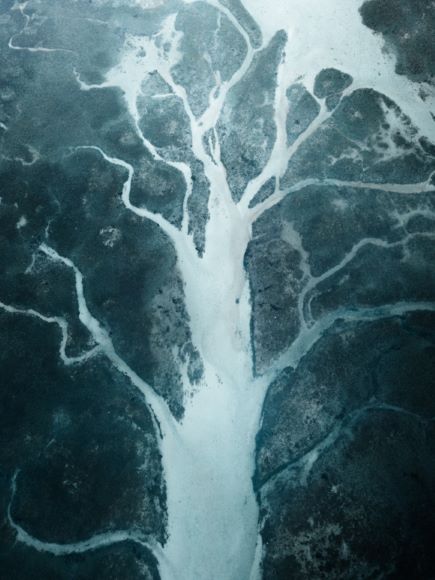 Aerial view of a delta with branching white waterways resembling tree branches, surrounded by dark land or water.
