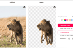 Lion standing on grass is shown in two images: the original with a background and the edited one with a transparent background.