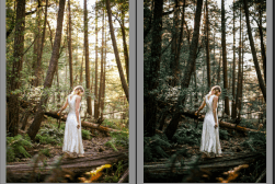 Before and after comparison of photo editing showing a woman in a white dress standing in a forest with enhanced lighting and color correction.