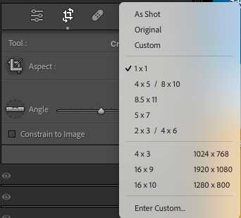 A screenshot of a photo editing software's crop settings panel, displaying aspect ratios like 1x1, 4x5, and 16x9, with options to adjust angle and constrain image.