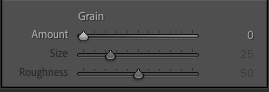 Image of a software interface showing three sliders labeled "Grain." The sliders adjust "Amount" set to 0, "Size" set to 25, and "Roughness" set to 50.